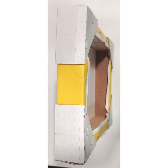 Peanuts Canvas Art Print  Snoopy Woodstock On Red Swim Raft Floaty 8.25x10.5" - Picture 7 of 13